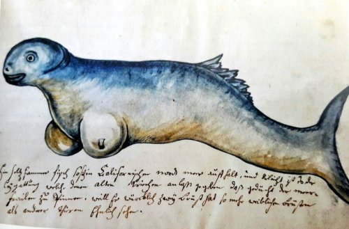 La Gastronomía y su relación con la historia