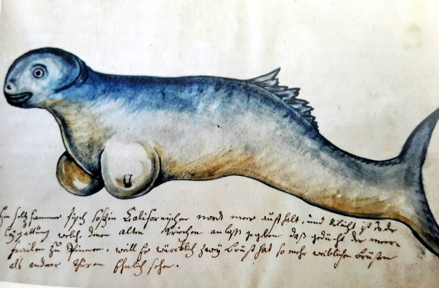 La Gastronomía y su relación con la historia