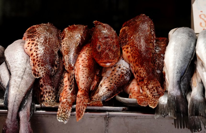 El pescado ensenadense