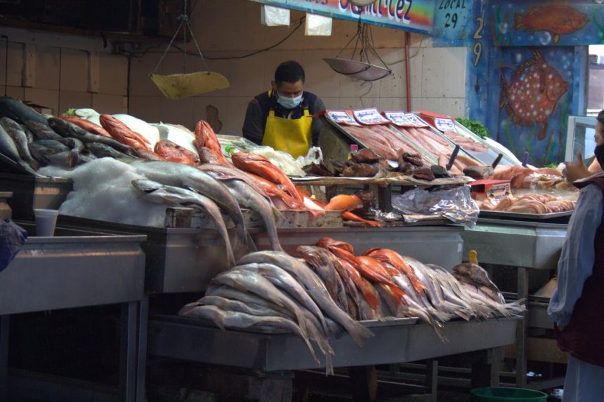 El Mercado Negro de Mariscos