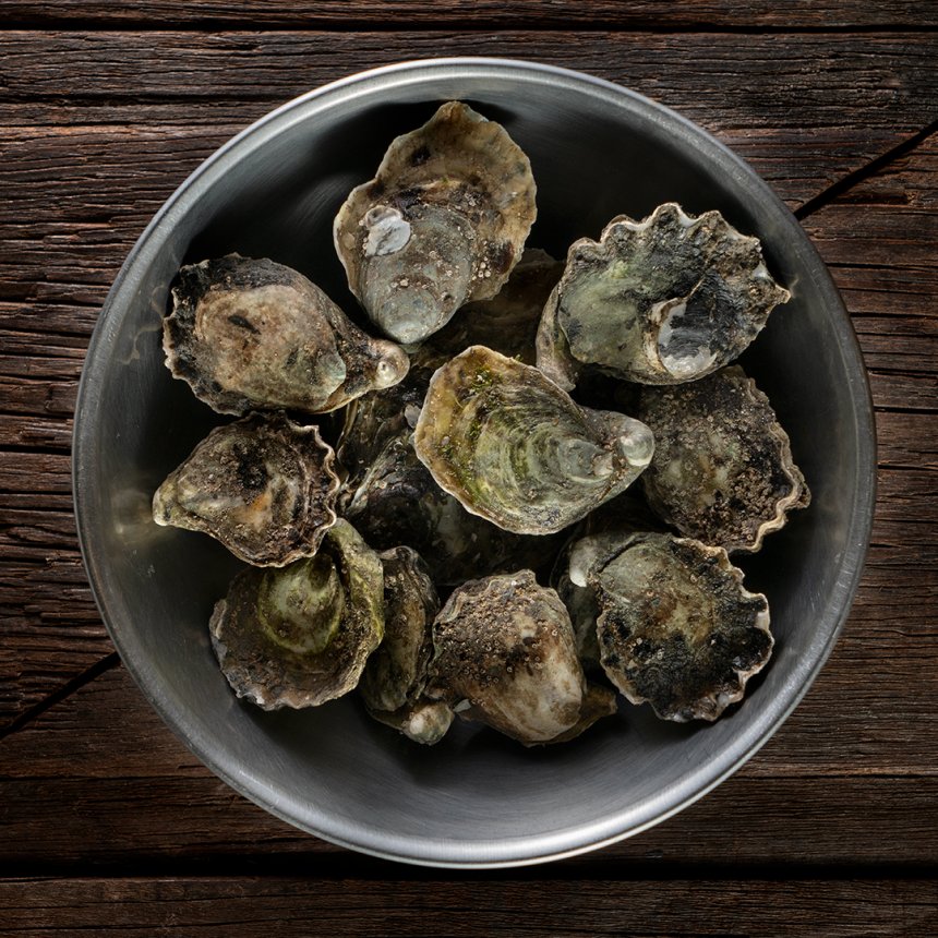 La ostionera de Bahía Falsa: El Paraíso