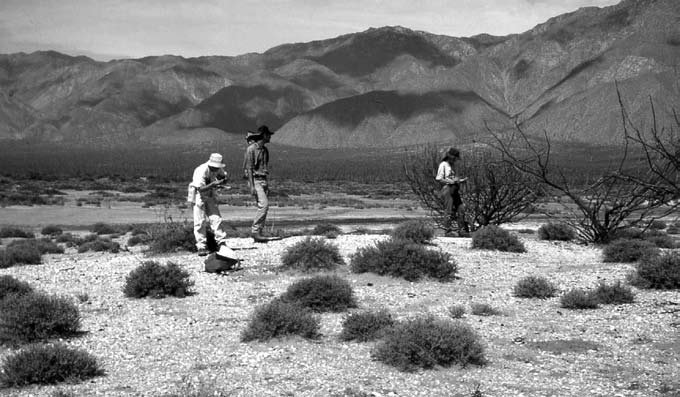 Cultura e Identidad Gastronómica