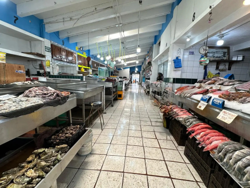 La historia del Mercado Negro de Mariscos de Ensenada: tradición, sabor y resiliencia